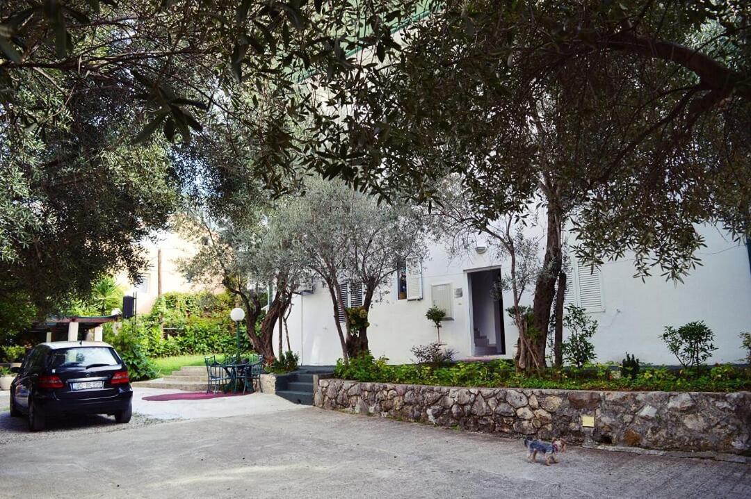 Apartments Nikcevic Μπούντβα Εξωτερικό φωτογραφία